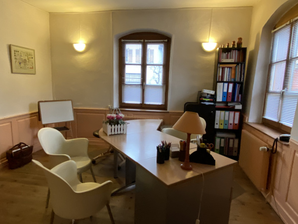 Location Immobilier Professionnel Local professionnel Wintzenheim 68920